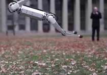 Ученые, представляющие Массачусетский технологический университет, представили небольшого робота, способного быстро передвигаться на четырех конечностях, удерживать равновесие и даже делать обратное сальто