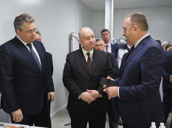 Глава Минкавказа осмотрел производственные площадки АПК на Ставрополье