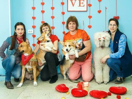 Кемеровские собаки будут танцевать для помощи бездомным собратьям