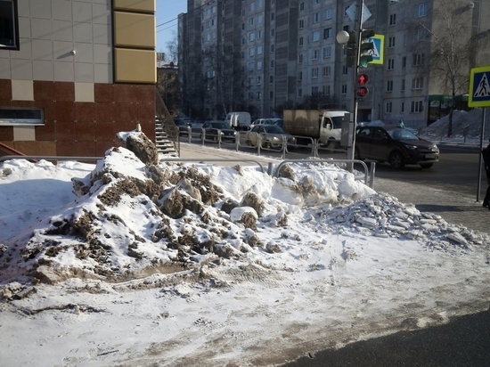 Шумков раскритиковал качество уборки снега в Кургане