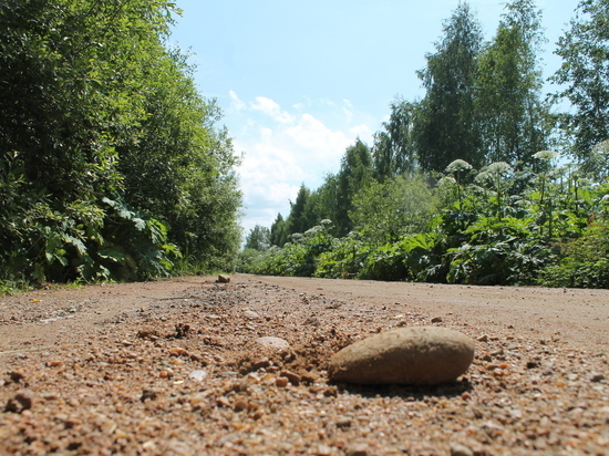 В Порховском районе отремонтируют деревенскую дорогу