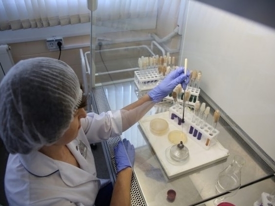 Ученые раскрыли тайну загадочной смерти 300-летнего малыша из Венгрии