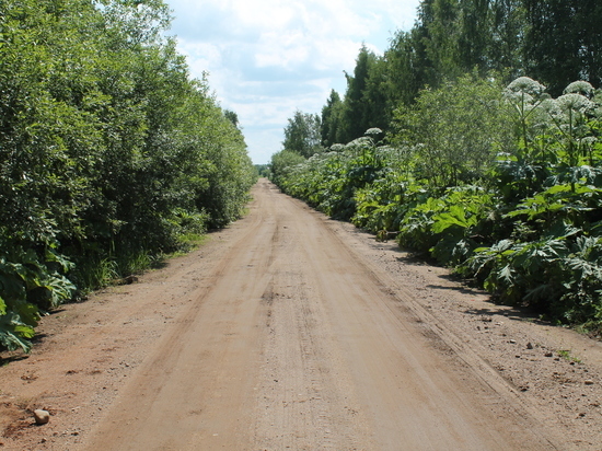 Порховские власти заказали ремонт дороги почти за 350 тысяч рублей