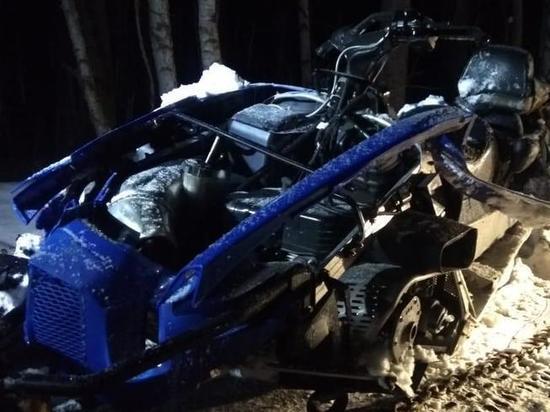 В Свердловской области в выходные погибло два водителя снегоходов