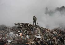 В феврале республиканское УФАС возбудило дело против карельского "мусорного" регионального оператора