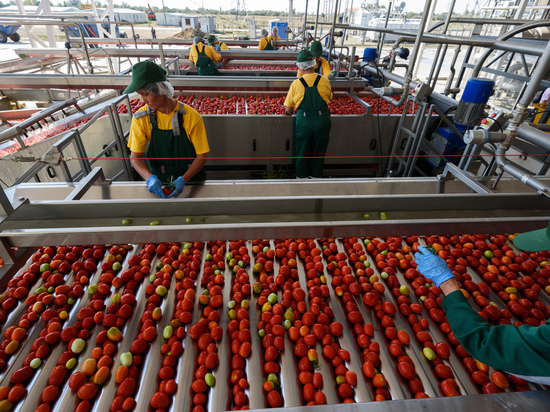 В Астрахани построят второй завод томат-пасты, современный рыбный цех и картофельное предприятие
