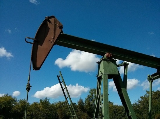В Татарстане возбуждено уголовное дело после разлива нефти в Бугульме