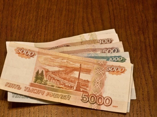 Рязанский бизнесмен заплатит штраф в 10 тысяч за невыплату зарплаты