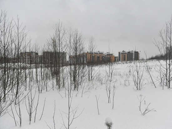 Карельские власти официально заявили, что строительство не затронет парк «Лягушка»