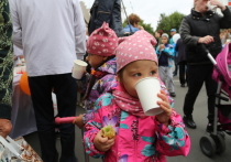 Временно исполняющий обязанности главы РБ Радий Хабиров попросил в соцсетях совета у мам, имеющих маленьких детей, чтобы понять, есть ли необходимость открыть молочные кухни во всех крупных городах Башкирии