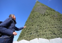 Краевая столица попала в книгу рекордов за самую высокую искусственную новогоднюю елку в России