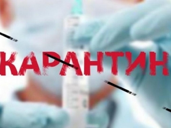 Карантин по ОРВ и гриппу снят в Хабаровске