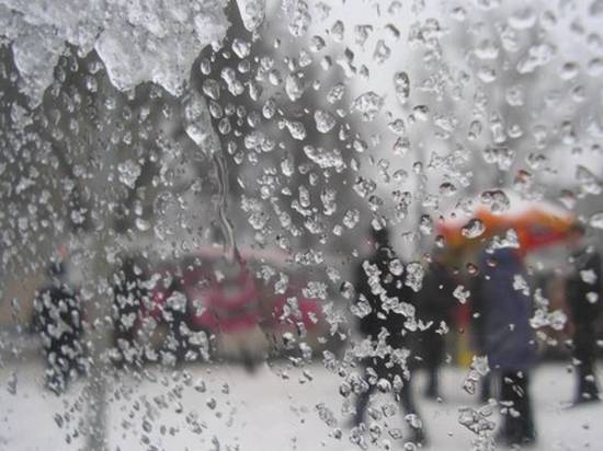 На праздники в Воронеже ожидается дождливая оттепель