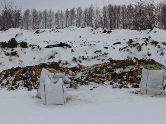 На окраине Казани обнаружили несанкционированную свалку