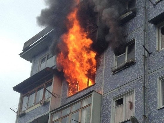 Новочеркасские пожарные спасли из горящей квартиры собаку