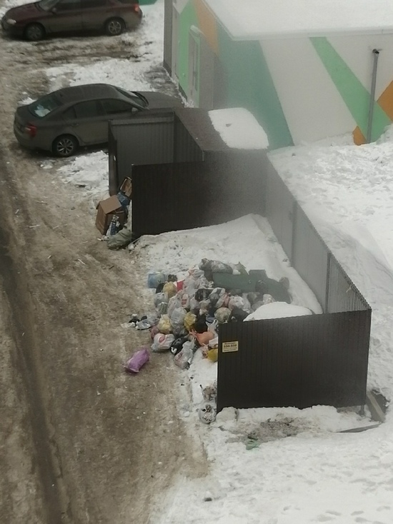 Жители Оренбурга жалуются на переполненные мусорки