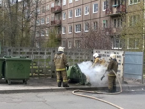 В Калининградской области потушили мусор и траву