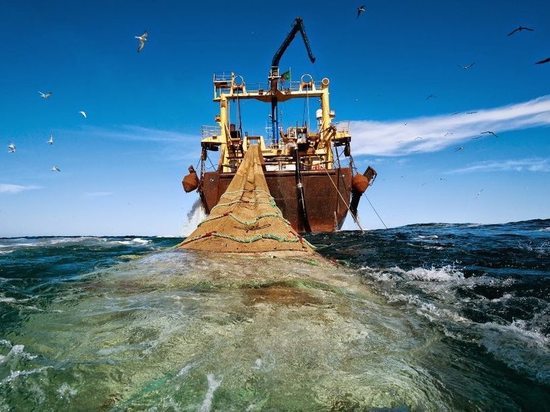 В Калининградской области построят очередное рыболовное судно