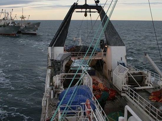 В Мурманске ученые России и Норвегии обсуждают морские запасы