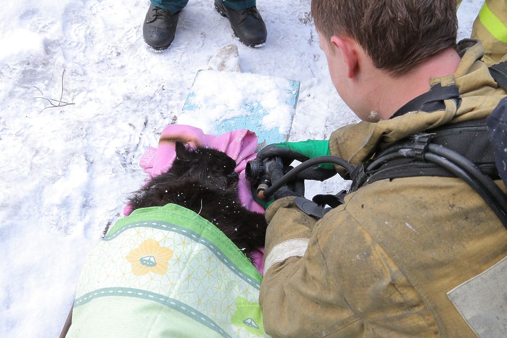 В Смоленске при пожаре спасена женщина и ее питомец