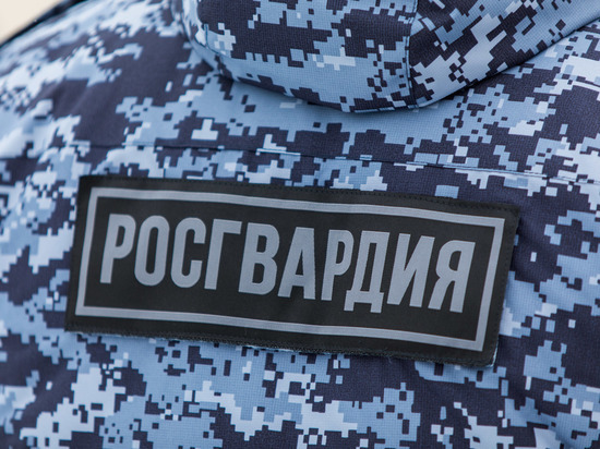 В Волгограде росгвардейцы задержали хулиганов, арбалетчика и взломщика