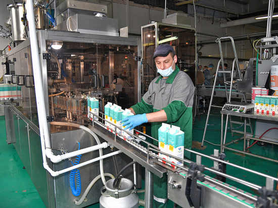 Вяземский молочный комбинат жалуется на нехватку сырья