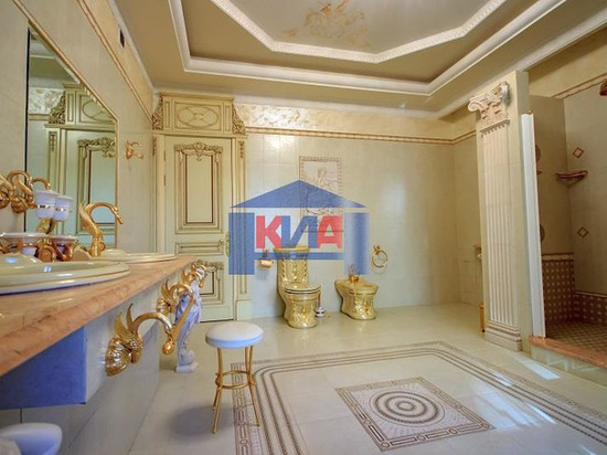 В Красноярске за 45 млн рублей продают квартиру с золотыми унитазами