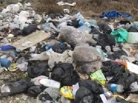 Куриные останки «похоронили» в горах мусора у въезда в Нальчик