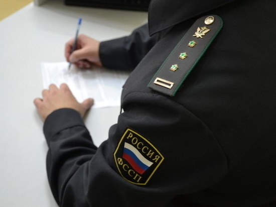 Воронежские судебные приставы устроили охоту на алиментщиков Воронежские судебные приставы устроили охоту на алиментщиков