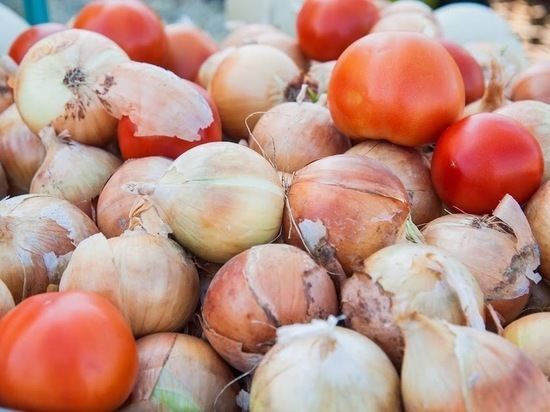 Волгоградская область стала №1 по выращиванию лука и моркови