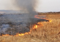 Трава загорается моментально и пожар быстро распространяется на открытых территориях