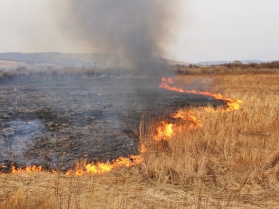 В Красноярске из-за теплой погоды начала гореть сухая трава