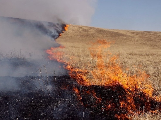 В Калининградской области объявлен особый противопожарный режим