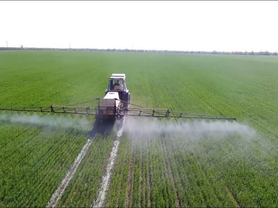 Остатки пестицидов найдены в пшенице на предприятиях Тульской области