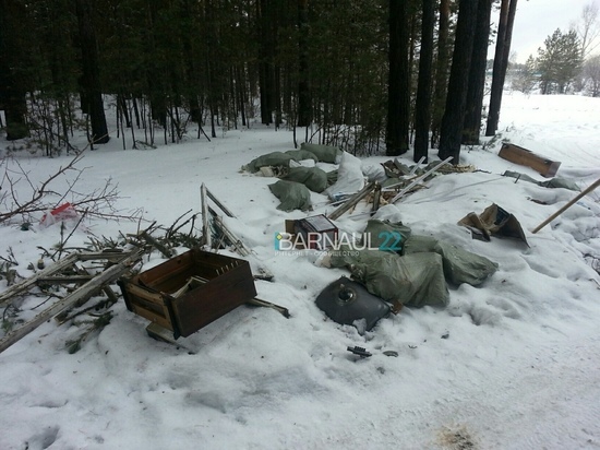 Барнаульцы возмущены свалкой в лесу