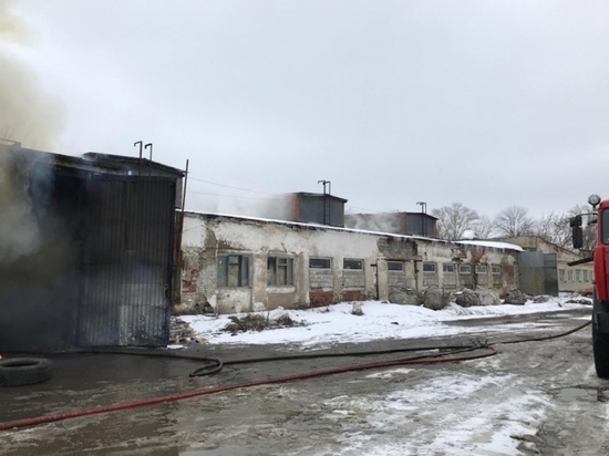 Пожар в Новомосковске тушили 25 человек