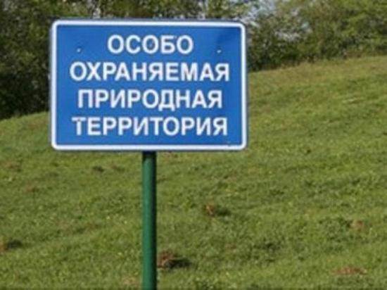 Ярославские экозащитники намерены остановить стройку в Павловской роще