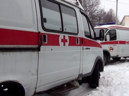 Отец и дочь в Тамбовской области погибли, надышавшись угарным газом