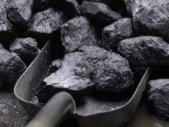 В Госдуме поддержали инициативу донского Заксобрания о бесплатном пайковом угле для шахтёров