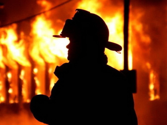 За несколько часов в Воронежской области в пожарах погибли 3 человека