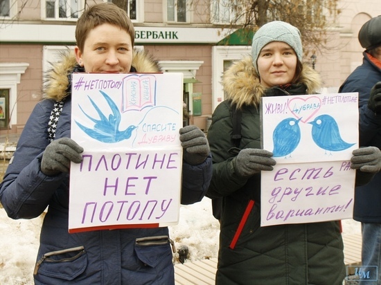 Пикет против строительства низконопорного гидроузла прошел в Нижнем Новгороде