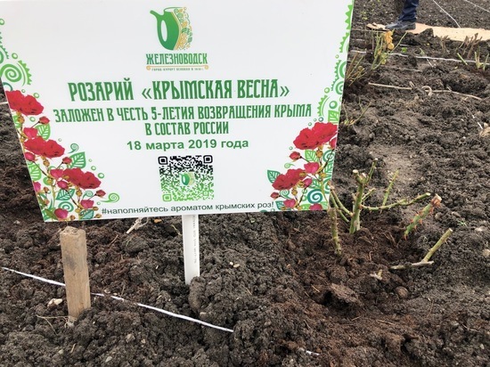 «Крымская весна» расцветет кустами роз в Железноводске
