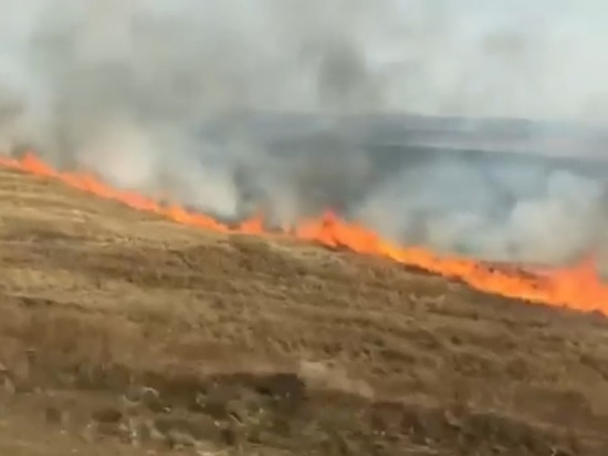 Очевидцы опубликовали видео горящей травы в Сретенском районе