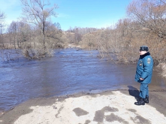 Заморозки снизили уровень воды в Тульских реках