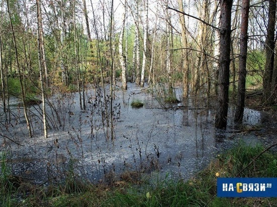Директор новочебоксарского полигона ТБО отделался штрафом за 40-миллионный ущерб природе