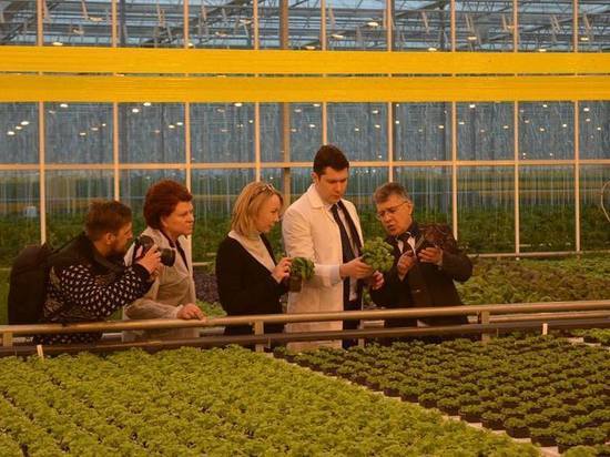Глава Калининградской области и спикер Облдумы посадили салат в горшочках