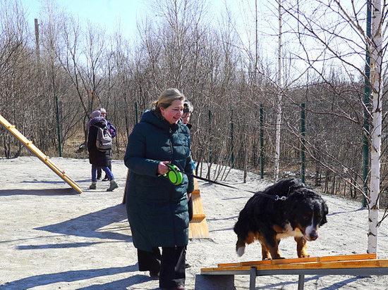 Первая площадка для выгула собак появилась в Хабаровске