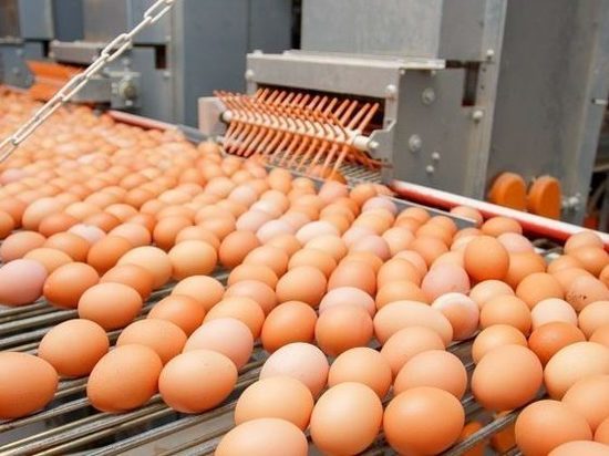 Волгоградское УФАС: почему так дорожали яйца в декабре