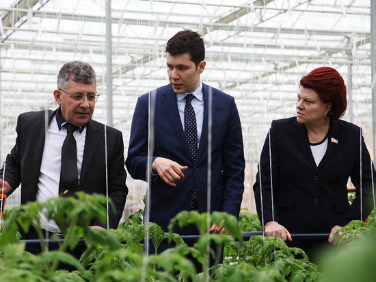 В Калининградской области введена вторая очередь тепличного комплекса для круглогодичного производства овощей