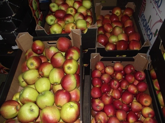 В Твери сожгли 204 килограмма яблок неизвестного происхождения